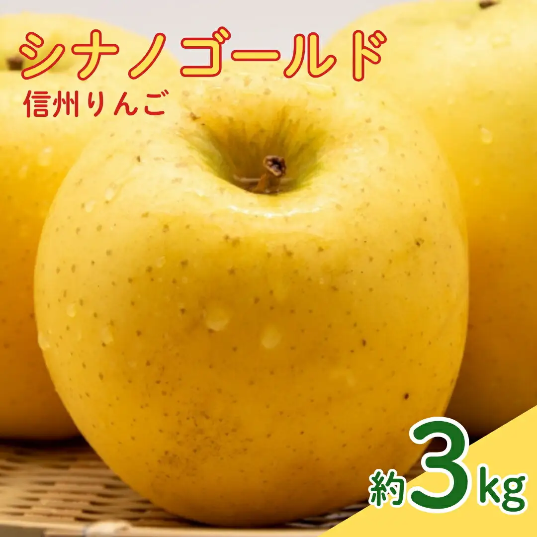 【2026年先行予約】シナノゴールド 約3kg| りんご りんご