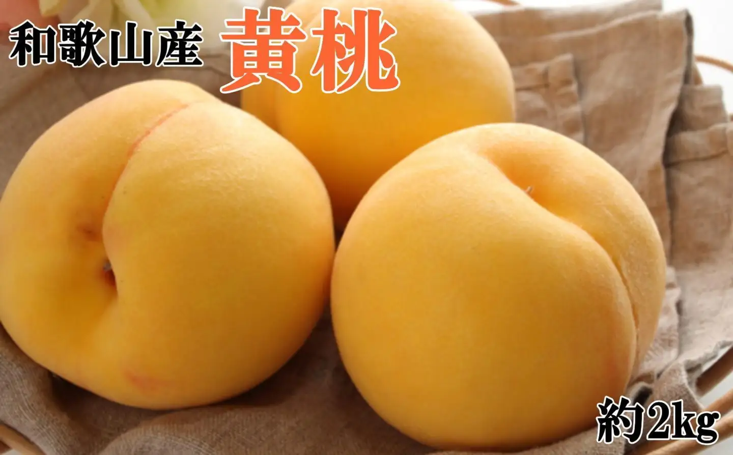 人気 和歌山県産 黄桃（つきあかり、ゆめおうみ）約2kg【数量限定】 ★2026年7月中旬～8月上旬頃順次発送★【TM177】