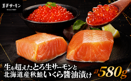 【王子サーモン】生を超えた「とろ生サーモン」と北海道産秋鮭 いくら醤油漬セット 計580g　T041-001 魚 魚介類 加工食品