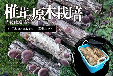 椎茸の原木栽培2夏経過品【0051-001】 岐阜県 可児市 栽培キット 原木栽培 きのこ キノコ 家庭菜園 椎茸 料理 調理 国産 自由研究