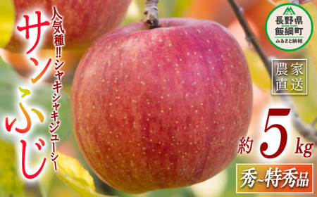 りんご サンふじ 秀 〜 特秀 5kg マルハ農園 2026年12月上旬頃から2026年12月中旬頃まで順次発送予定 令和8年度収穫分 エコファーマー認定 信州 果物 フルーツ リンゴ 林檎 長野 予約 農家直送 長野県 飯綱町 [1637]