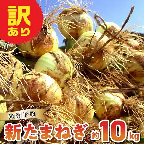 S010-077_令和9年4月出荷 訳あり新たまねぎ【先行受付】