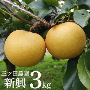 梨 新興 3kg 三ツ田農園 鳥取県産 | 11M
