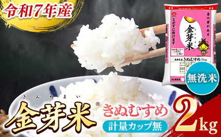 BG無洗米・金芽米きぬむすめ 2kg 計量カップ無し 令和7年産 お試し 節水 健康 ビタミン ミネラル つや お弁当 おいしい うまみ 甘み ふっくら 時短 簡単 少量 小袋 島根県 安来市 【価格改定XA】【07-SS-33-2】