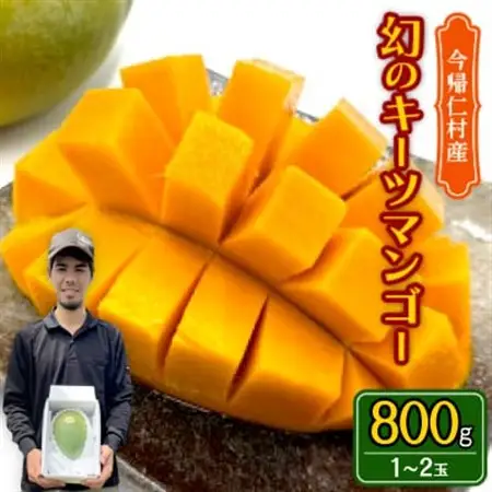【先行受付・2026年8月から順次発送】仲本マンゴー園の幻のキーツマンゴー800g(1～2玉)【配送不可地域：離島】【1418218】