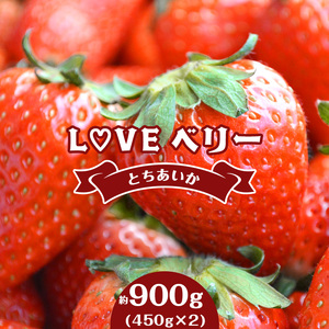 2027年 先行予約】LOVE ベリー とちあいか 900g | 栃木県真岡市
