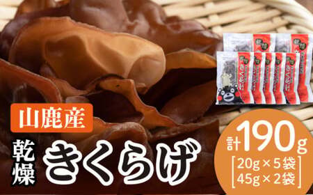 乾燥 きくらげ セット 45g×2袋、20g×5袋【株式会社 地の塩社】[ZAN002]