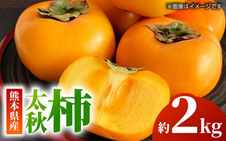 【先行予約】太秋 柿 約2kg【くまふる】[ZBG015]