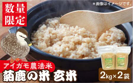 〈令和7年度産米〉米 菊鹿の米アイガモ農法米玄米2kg×2袋 令和7年産ZBI001