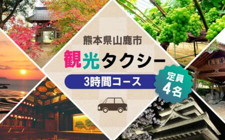 山鹿市 観光タクシー 3時間コース【肥後第一交通 株式会社 】[ZBJ002]