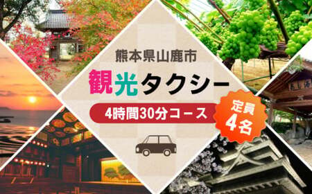 山鹿市 観光タクシー 4時間30分コース【肥後第一交通 株式会社 】[ZBJ003]