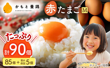 赤たまごM玉卵90個(85個＋5個割れ保証)卵ZCA002