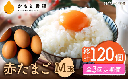 【全3回定期便】 【化粧箱入り】赤たまご M玉 40個 (37個＋割れ保証3個)【株式会社 かもと養鶏】 タマゴ 玉子 熊本県 卵 国産 新鮮 濃厚 化粧箱  [ZCA003]