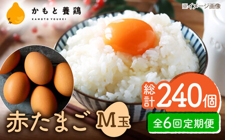 【全6回定期便】 【化粧箱入り】赤たまご M玉 40個 (37個＋割れ保証3個)【株式会社 かもと養鶏】タマゴ 玉子 熊本県 卵 国産 新鮮 濃厚 化粧箱    [ZCA004]