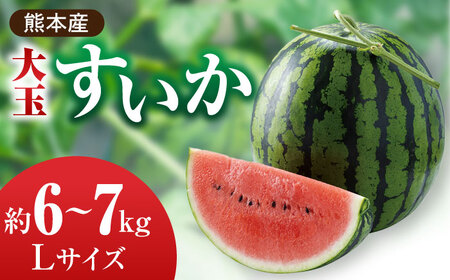 熊本スイカ先行予約 大玉すいかLサイズ西瓜スイカZCM001
