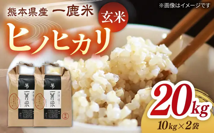 【天日塩を使用】一鹿米 ヒノヒカリ 玄米 20kg【株式会社 夢アグリ】[ZCL004]