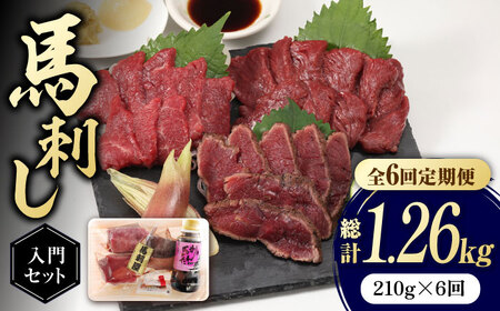 【全6回定期便】 熊本の味 赤身 馬刺し 入門セット 2種 約210g【有限会社 九州食肉産業】 馬肉 希少 特産品 国産 純国産 タタキ 赤身馬刺し 九州 タレ付き 冷凍 [ZDQ003]