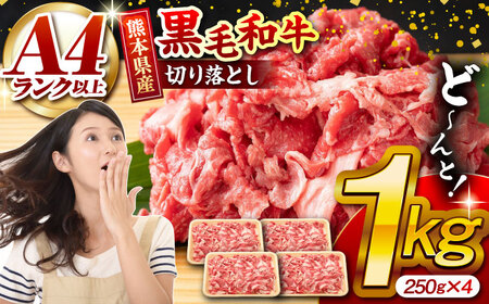 熊本県産 黒毛和牛 切り落とし 計約1kg (約250g×4P)【有限会社九州食肉産業】牛肉 A4 A5 国産 和牛 九州産 小分け [ZDQ019]