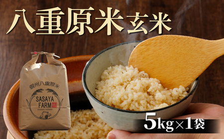 【寄附額改訂】令和８年新米予約！八重原米5kg（5kg×1袋）玄米 ※2026年10月以降順次発送｜笹屋農園「農薬削減長野県認証取得」　先行予約 お米