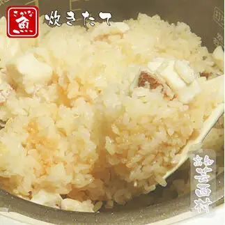高知産「真鯛」炊込みの素250g　3合炊込み用タレ付