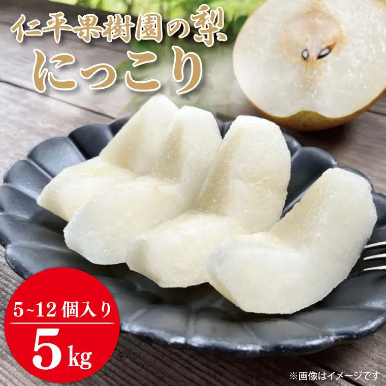 梨 にっこり 5kg 先行予約 2026年発送 仁平果樹園 益子町産 DB005
