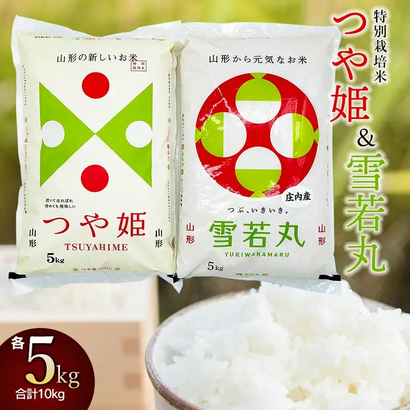 【令和7年産】 特別栽培米つや姫5kg＋雪若丸5kgセット　山形県庄内産　鶴岡米穀商業協同組合