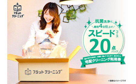 【フラットクリーニング】スピード20点パック利用券 チケット 最短 当日集荷 受取日 指定 宅配クリーニング サービス 富士山 伏流水 ワイシャツ 襟 袖口 黄ばみ 汚れ 