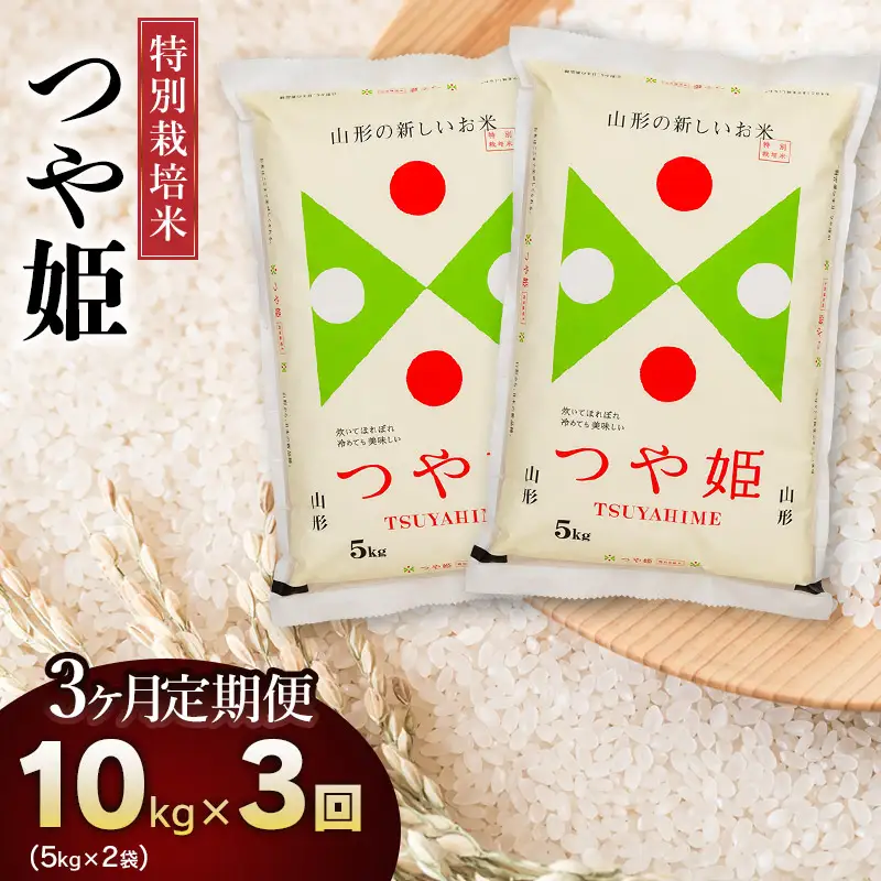 【3回定期便】令和7年産 特別栽培米 つや姫10kg (5kg×2)×3回　山形県庄内産　鶴岡米穀商業協同組合