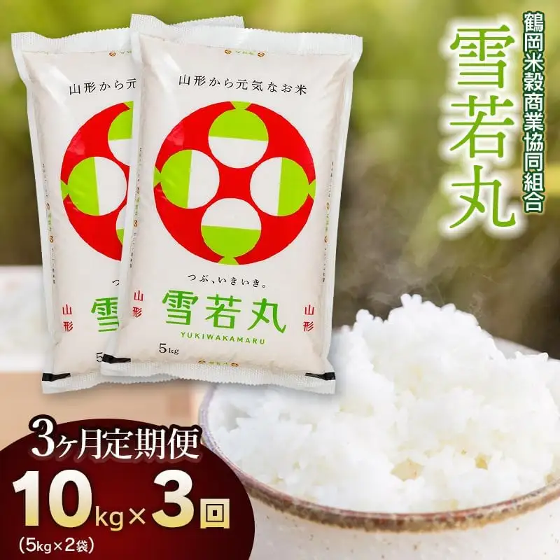 【3回定期便】【令和7年産】 雪若丸10kg (5kg×2)×3回 山形県庄内産　鶴岡米穀商業協同組合