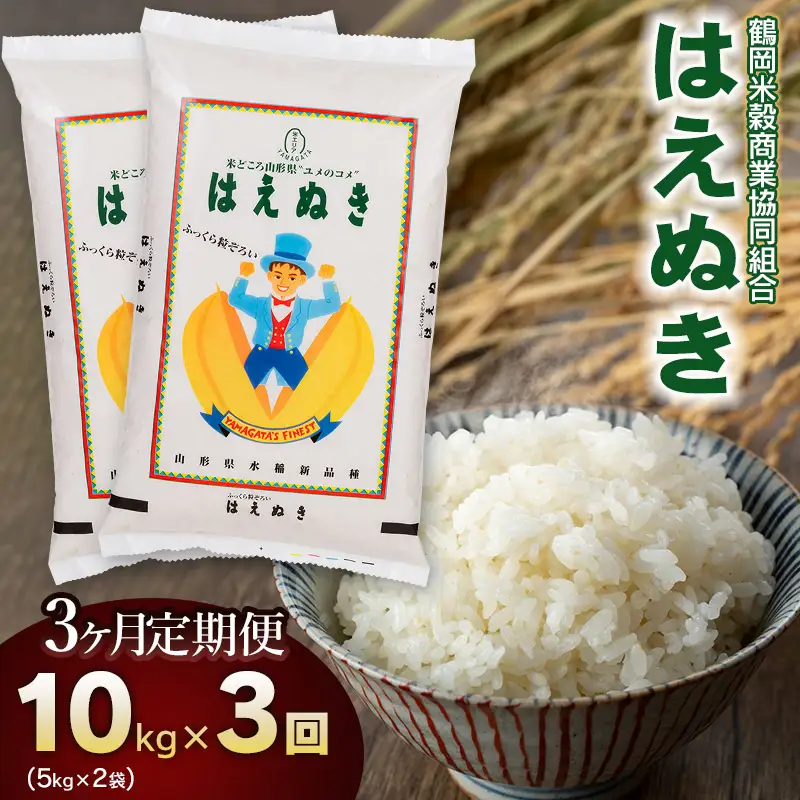 【3回定期便】【令和7年産】 はえぬき 10kg(5kg×2)×3回 山形県庄内産　鶴岡米穀商業協同組合