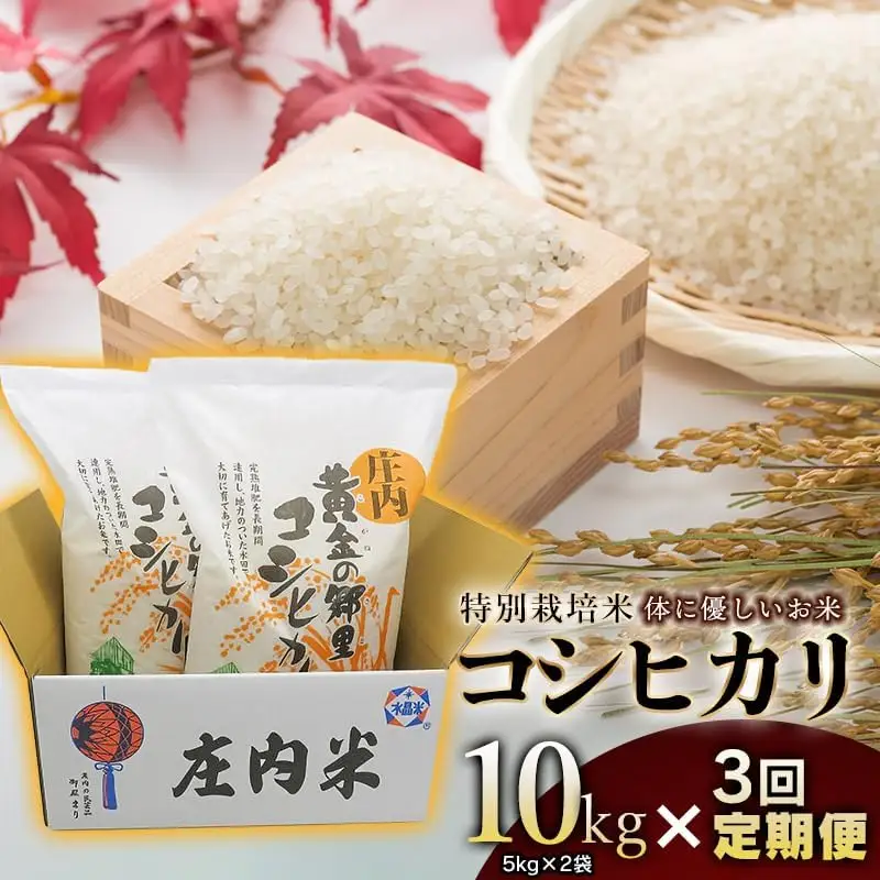 【3回定期便】【令和7年産】 特別栽培米 体に優しいお米・こしひかり 10kg(5kg×2)×3回 山形県庄内産　鶴岡米穀商業協同組合