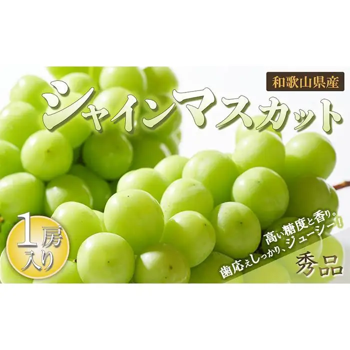シャインマスカット 1房（600g以上）［2026年8月中旬以降出荷］［MG24］