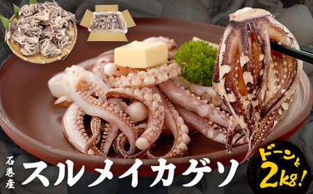 訳あり 石巻産 スルメイカ ゲソ 2kg 冷凍 イカ いか