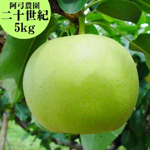 梨 二十世紀 5kg 鳥取県産 阿弓農園 | 7M