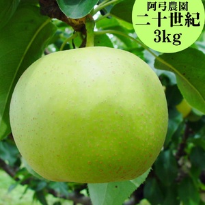 梨 二十世紀 3kg 鳥取県産 阿弓農園 | 8M