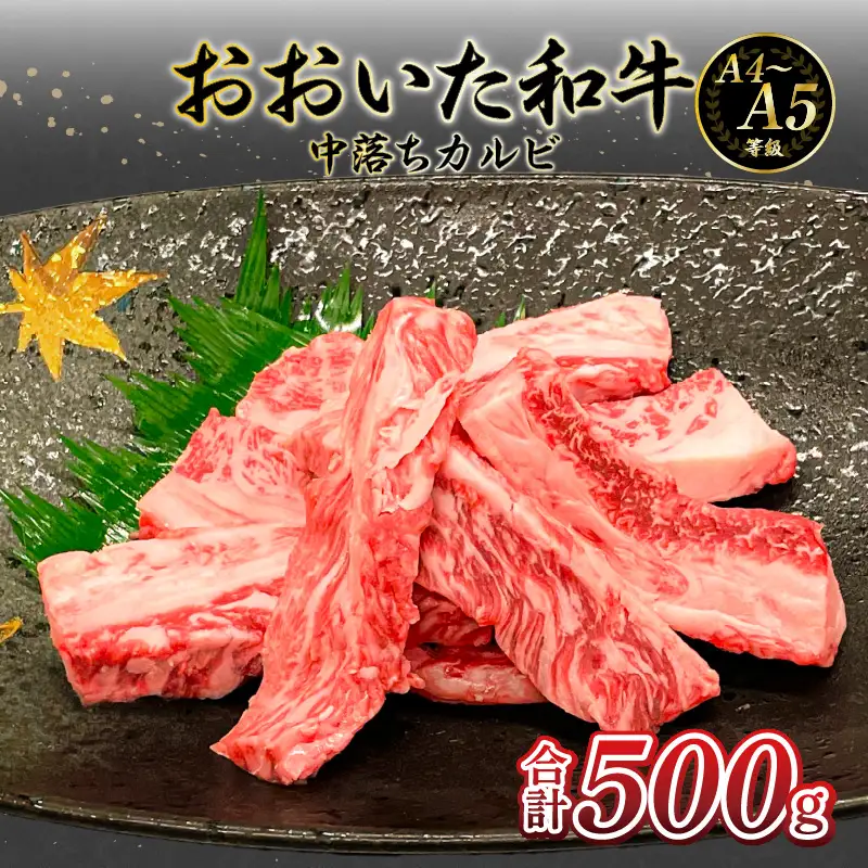 厳選A4～A5等級 おおいた和牛 中落ちカルビ 500g A01133