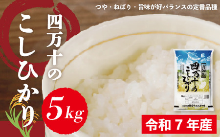 米 5kg 【 令和7年産 】 四万十 の こしひかり 国産 1等米 予約 コシヒカリ 精米 お米 白米 ごはん ご飯 おいしい ふっくら もちもち 高知県 高知 四万十市 しまんと 土佐 R8-148