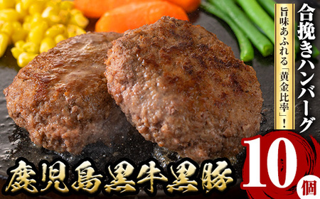 鹿児島黒牛黒豚ハンバーグ(10個・計1.3kg) 国産 九州産 鹿児島県産 お肉 ぶた ブタ 豚肉 牛肉 ミンチ パック 小分け 冷凍 冷凍ハンバーグ おかず 惣菜 調理 お弁当【さつま屋産業】_y436