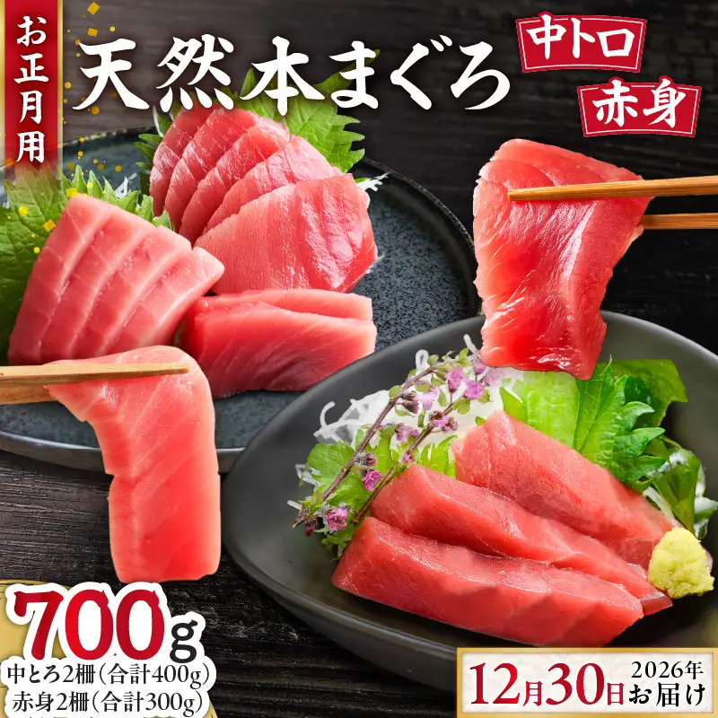 【 お正月用 B 】 天然本鮪 中とろ 2柵 ・ 赤身 2柵 （ 2026年12月30日にお届け ） M005-051-02 冷凍 マグロ