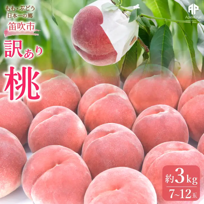 【2026年発送★先行予約】笛吹市産　訳あり桃 約3kg（7～12玉） 205-003