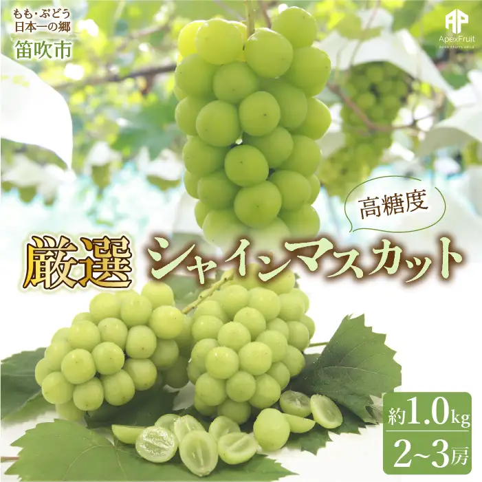 【2026年発送★先行予約】笛吹市産　 厳選! シャインマスカット 2～3房 約1.0kg 205-004-26y