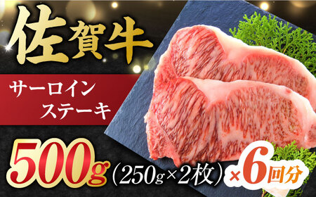 【6回定期便】 艶さし！ 佐賀牛 サーロインステーキ 計3kg (250g×2枚×6回) 吉野ヶ里町 佐賀牛 牛肉 肉 国産 ブランド牛 サーロイン ステーキ [FDB040]