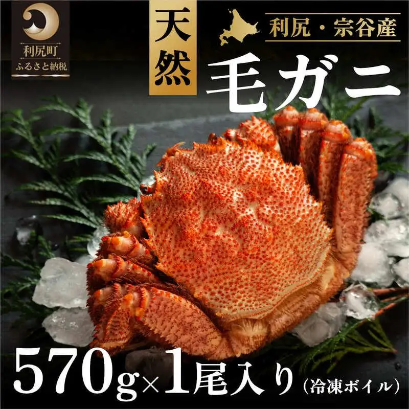利尻・宗谷産 冷凍ボイル毛蟹 570g前後×1尾 [1060066]