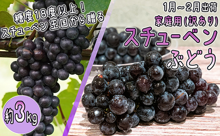 1～2月 津軽ぶどう村 秀品 スチューベン ぶどう 約 3kg  訳あり 家庭用 【 青森ぶどう 青森県鶴田町産 11月 12月 果物 フルーツ ポリフェノール 甘い 高糖度 美味しい 