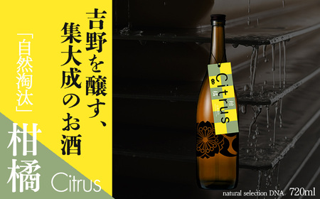 自然淘汰 natural selection DNA Citrus"柑橘"《美吉野醸造株式会社》