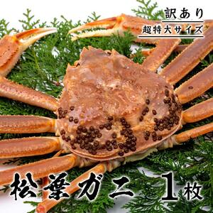 【訳あり】松葉ガニ(ボイル) 1kg 級 超特大サイズ【さんチョク】