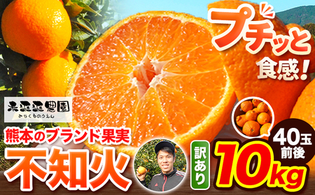 【先行予約】みかん 不知火 訳あり 熊本 ブランド果実 不知火 約 10kg 40玉前後 デコポン と同品種 でこぽん フルーツ 果物 みかん ミカン 柑橘 しらぬい 未来来農園 《4月上旬-4月末頃出荷》熊本県 葦北郡 津奈木町