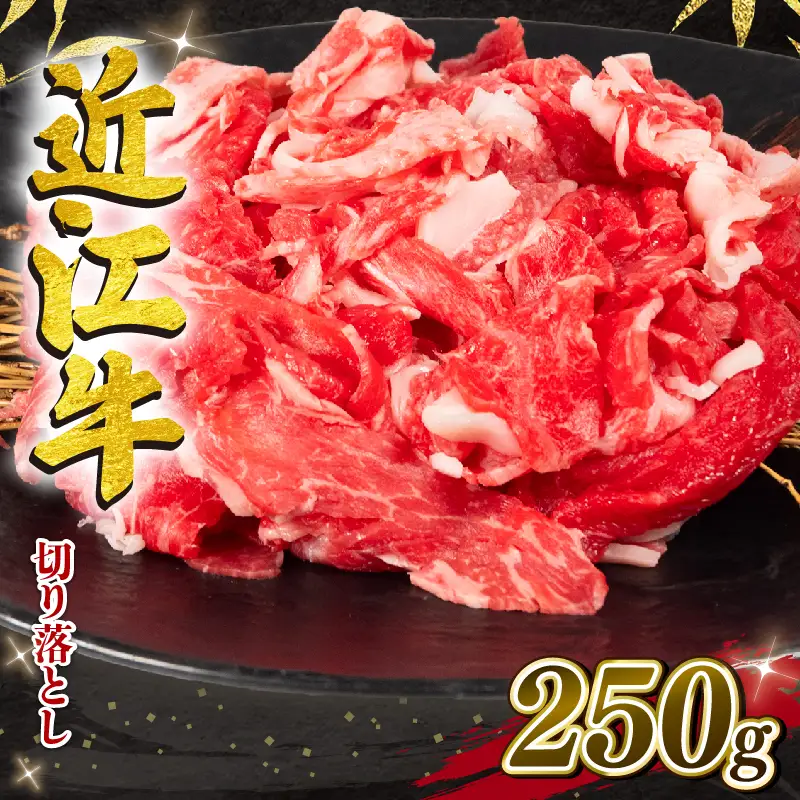 竜王町産近江牛 牛肉切落し 250g / 牛肉切り落とし[E501_N1_6] 6月発送