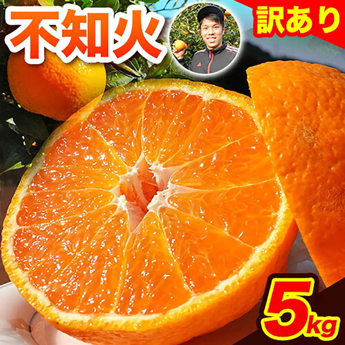 みかん訳あり 不知火 約5kg 20玉前後《4月上旬-4月末頃出荷》フルーツ みかん ミカン 柑橘 しらぬい