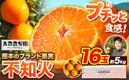 不知火 先行予約 贈答用 16玉 約5kg 未来来農園《4月上旬-4月末頃出荷》でこぽん フルーツ 果物 みかん ミカン 柑橘 しらぬい
